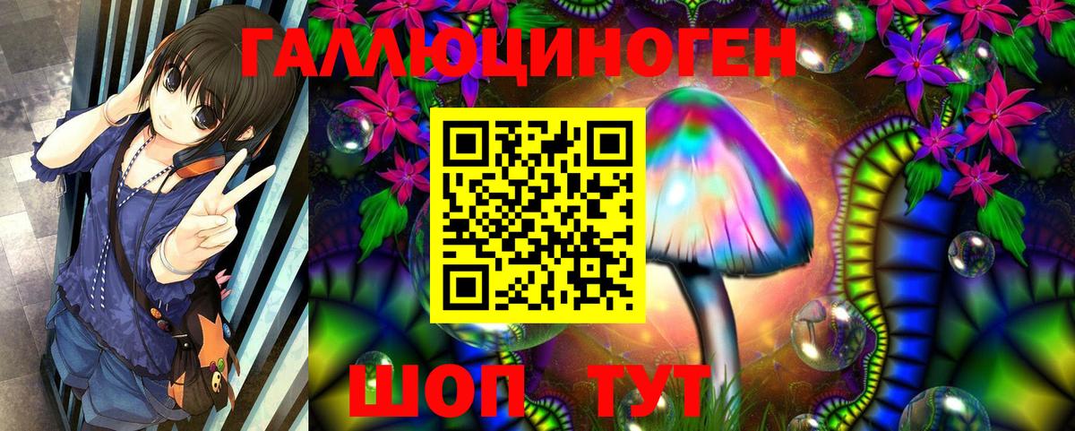 Псилоцибиновые грибы мухоморы  Вход с VPN  Саров  Галлюциногенные грибы прущие грибы 